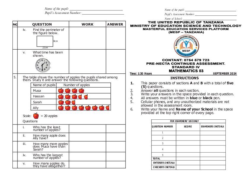 Standard 4 Pre necta examinations set 3